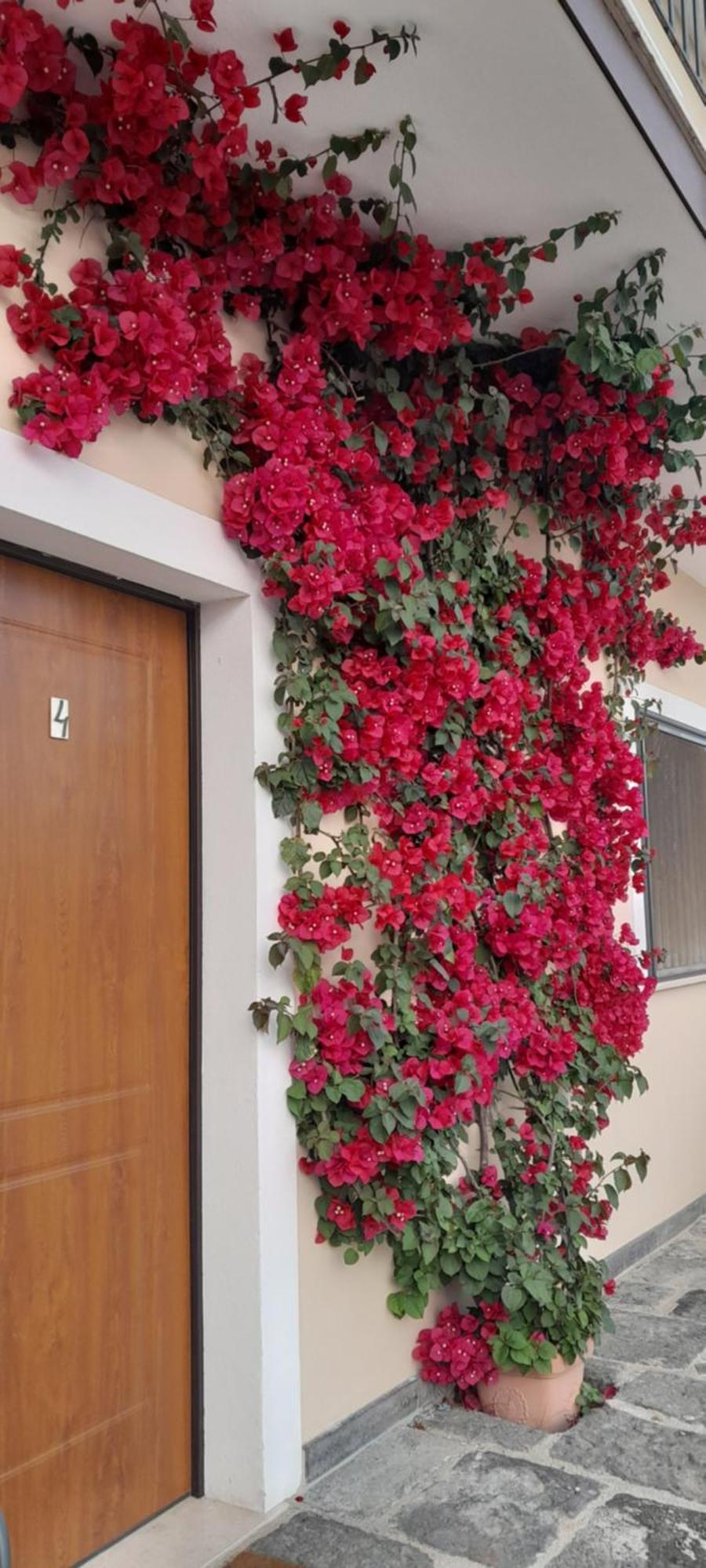 B&B Tenuta San Michele Capaccio Exterior photo